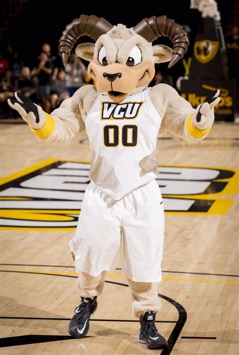 199 best vcu mascot cheerleaders and gold rush dancers images on pinterest