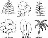 Coloring Tree Pages Kids Printable Draw sketch template