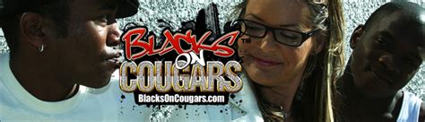 cougar blacks on cougars official blog
