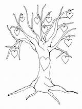 Coloring Tree Leaves Without Pages Color Getcolorings Branches Getdrawings Heart sketch template