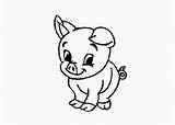 Pig Coloring Pages Baby Cartoon Kids sketch template