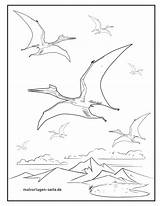 Flugsaurier Dinosaurier Ausmalbild Malvorlage Malvorlagen Ausmalbilder Dino sketch template