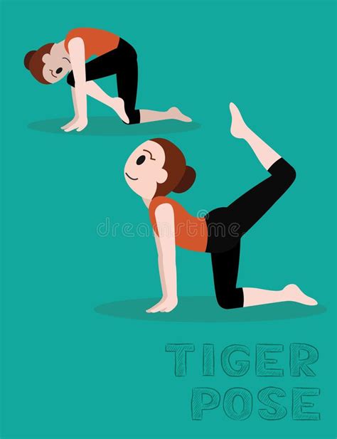 yoga tiger pose cartoon vector illustration ilustracion del vector