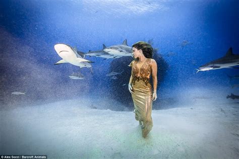 brazilian model and activist karina oliani swims with