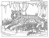 Coloring Animal Pages Complex Getcolorings Hard sketch template