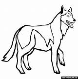 Husky Coloring Pages Dogs Siberian Dog Trace Online Printable Clipart Color Huskies Kids Colouring Animals Thecolor Drawings Cool sketch template