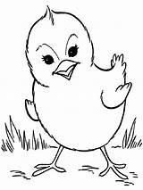 Baby Coloring Chick Pages Printable Color Animals sketch template