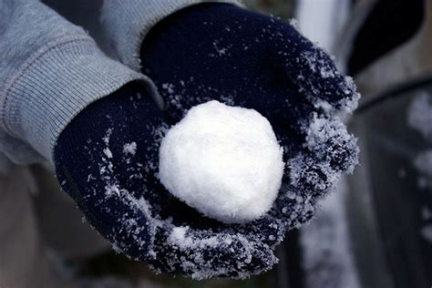 snowball fails  gather momentum honi soit