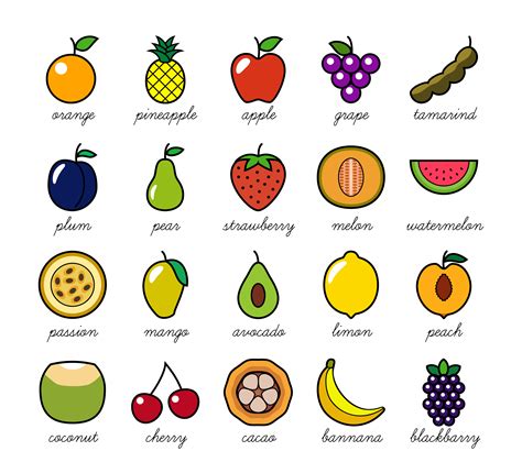 colorful simple fruit drawing perfect  childrens illustration