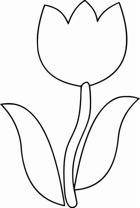 simple tulip coloring pages easy flower coloring pages  simple