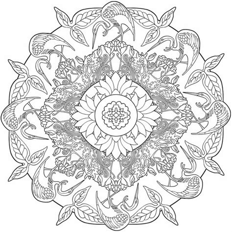 nature mandalas coloring book thaneeya mcardle book buy