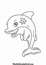 Dolphin Coloring Pages Drawing Realistic Cute Dolphins Easy Step Line Adults Color Beginners Decoration Getdrawings Amazing Printable Getcolorings Bottlenose Print sketch template