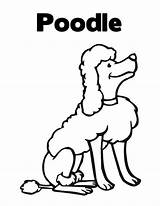 Poodle Coloring Designlooter Lets Word Learn 76kb 776px sketch template