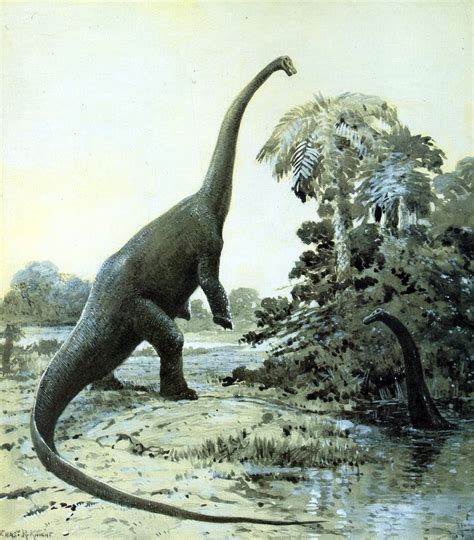 blog  time forgot dinosauria caspakensis diplodocus ajori
