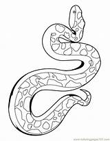 Coloring Snake Pages Anaconda Kids Printable Choose Board sketch template