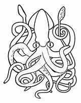 Squid Kraken Whale Colossal Marine Kunjungi sketch template