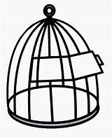 Cage Oiseaux Dessins Liberté Envolés Coloriages sketch template