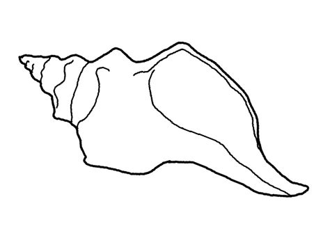 seashell coloring pages  adults top  coloring pages  kids