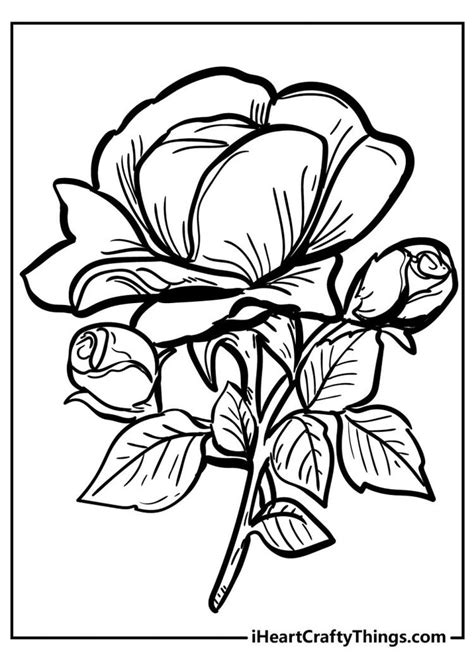 rose coloring pages   printables