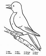 Bird Zahl Nummer Ausmalbilder Honkingdonkey Ausmalbild Coloringhome sketch template
