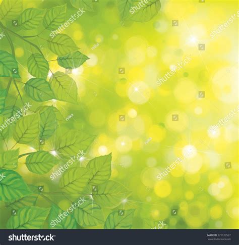 vector green leaves  sunshine background stock vector royalty   shutterstock