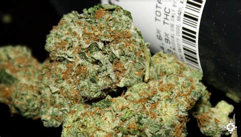 cherry og marijuana strain review
