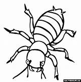 Coloring Insects Bug Insect Bugs Pages Outline Printable Termite Creature Potato Clipart Clipartmag sketch template