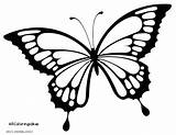 Butterfly Coloring Pages Printable Drawing Beautiful Adults Small Kids Butterflies Color Monarch Simple Pretty Drawings Print Detailed Getcolorings Realistic Getdrawings sketch template