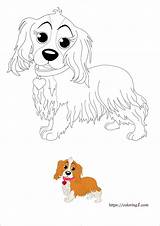 Cocker Spaniel sketch template