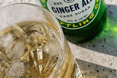 ginger ale brands   michiganders perspective