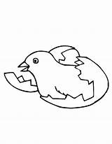 Hatching Egg Coloring Chick Drawing Pages Getdrawings sketch template