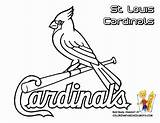 Cardinals sketch template