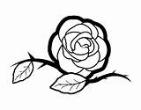 Rose Coloring Beautiful Coloringcrew sketch template