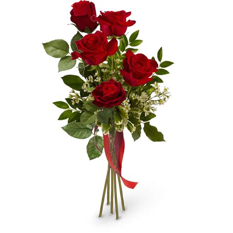 mazzo  rose rosse quante rose regalare  san valentino community lm