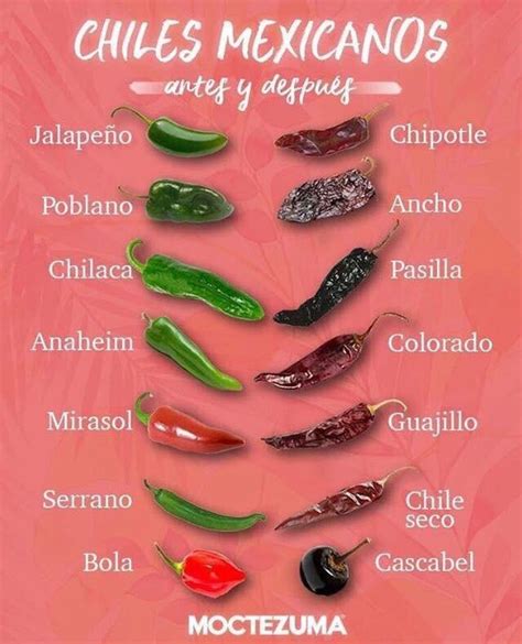 types  hot peppers rcoolguides