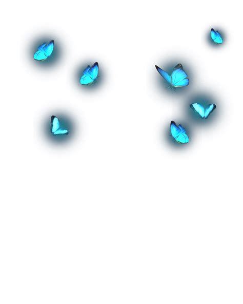 glowing butterfly photo editing background  png