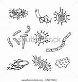 Bacteria Coloring Designlooter 470px 25kb sketch template