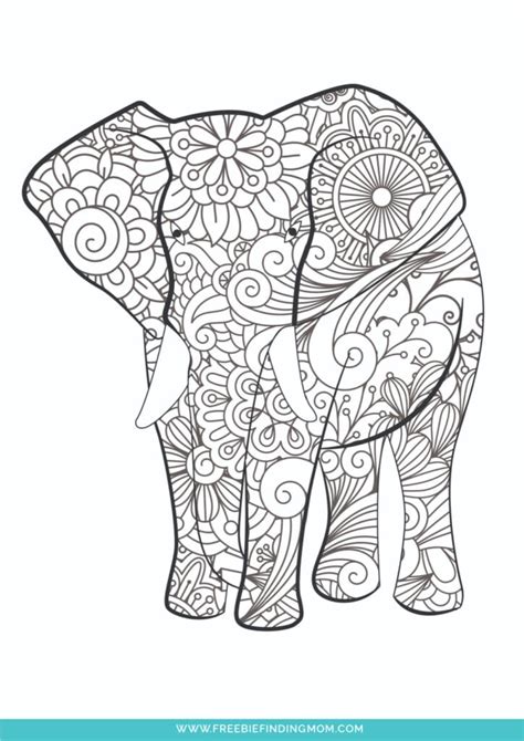 detailed animal coloring pages  kids
