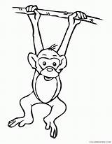 Monkey Hanging Printable Template Coloring4free Coloring Pages Bfree Related Posts sketch template