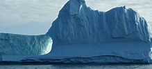 Afbeeldingsresultaten voor "coelographis Antarctica". Grootte: 219 x 100. Bron: www.coolantarctica.com