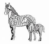 Zentangle Stylized Foal Freehand sketch template