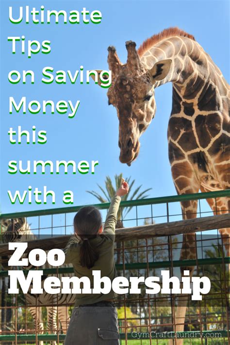 ultimate tips  parents    save money  zoo membership passes  family outings