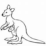 Kangaroo Coloring Pages Animal Kids Zoo Drawing Clipartbest sketch template