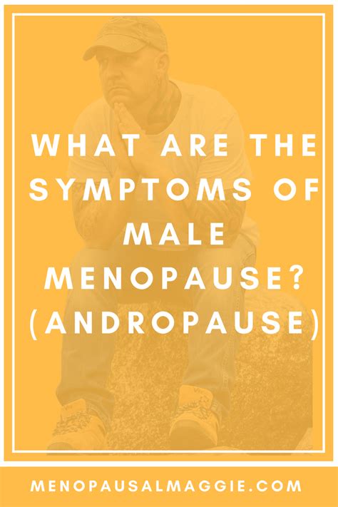 pin on menopausal maggie a guide to surviving the symptoms of menopause