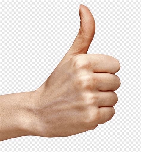 person   hand sign thumb signal hand thumb  hand hands arm hand model png pngwing
