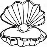 Clipart Pearl Seashell Shell Drawing Oyster Clipartmag Getdrawings Clipground sketch template