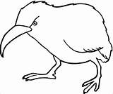 Kiwi Colorir Kiwis Kolorowanki Pajaros Dzieci Emu Strusie Coloringbay Estranhos sketch template