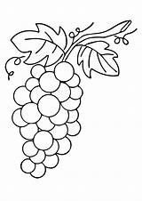 Grapes Weintrauben Malvorlagen Q2 sketch template