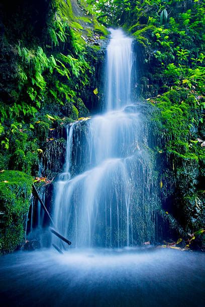 waterfall pictures images  stock  istock