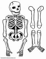 Squelette Skeletons Printables Fasteners Manusia Imprimable sketch template